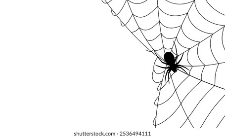 Spider web and spiders silhouettes, black spider web halloween banner, cobweb spooky background nets frame wall sticker, scary torn spider web of halloween symbol