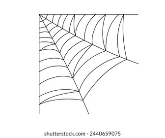 spider web, spiderweb for halloween illustration