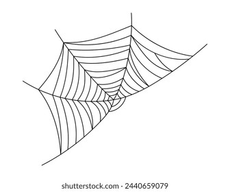 spider web, spiderweb for halloween illustration