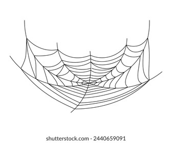 spider web, spiderweb for halloween illustration