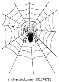 spider web stock vector illustration isolated on white background