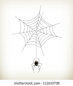 Spider and web, vector