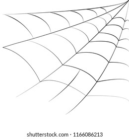 spider web vector