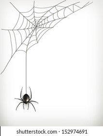 Spider Web Vector