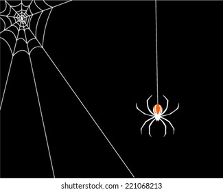 Spider web vector 