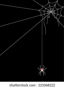 Spider web vector 