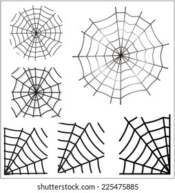 spider web. vector