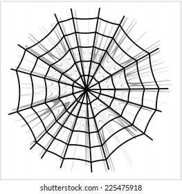 spider web vector