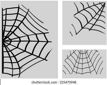 spider web. vector