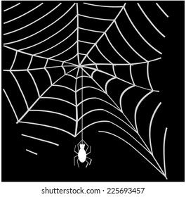 spider web. vector
