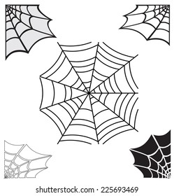 spider web. vector