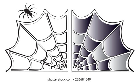 spider web. vector