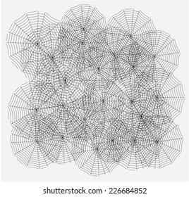 spider web. vector