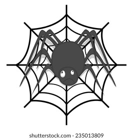 Spider with Web Vector