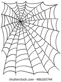 Spider web vector art (background)