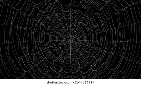 Spider web vector background. Cobweb illustration for halloween design