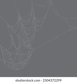 Spider web vector background. Spider web isolated border. happy Halloween banner, template for poster, brochure, advertising, promotion,sale marketing vector illustration.