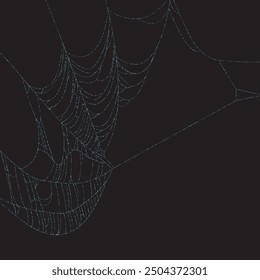Spider web vector background. Spider web isolated border. happy Halloween banner, template for poster, brochure, advertising, promotion,sale marketing vector illustration.