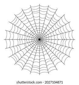 Spider web. Vector spider web. Web. Spider web for catching insects.