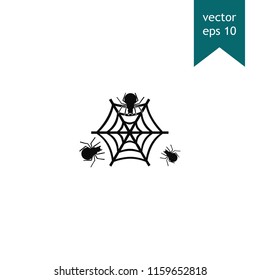 Spider web and spider vector icon