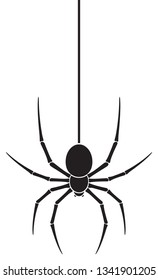 spider and web vector illustration