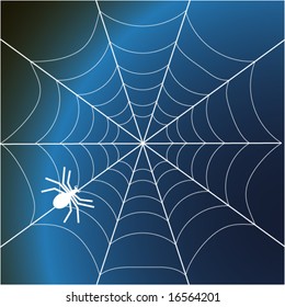 a spider and web- vector illustration