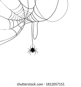 spider web and spider. Vector illustration