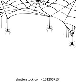 spider web and spider. Vector illustration