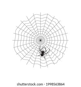 Spider web and spider. Vector illustration.