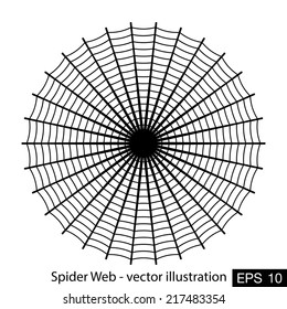 Spider web- vector illustration