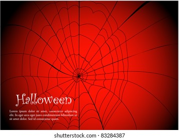 spider web. vector illustration