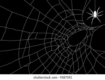 Spider web with spider, vector illustration.