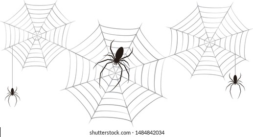 Spider web vector illustration clip art