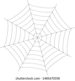 Spider web vector illustration clip art