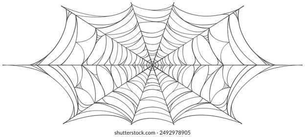 Spider web vector illustration. Vector eps