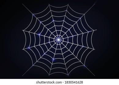 Spider web vector illustration for halloween, spider web wireframe graphics Horror cartoon horror, fear and creepy concept art