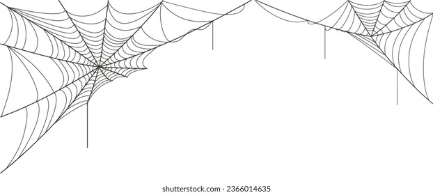 Spider web vector illustration, spider web halloween background