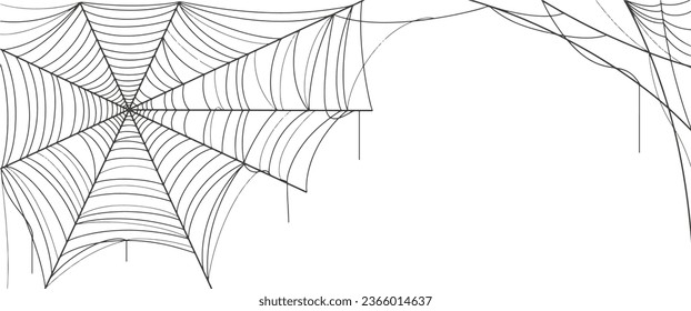 Spider web vector illustration, spider web halloween background