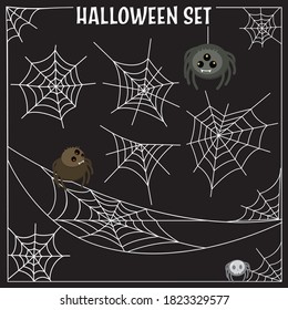 Spider web vector illustration And a spider on a black background.