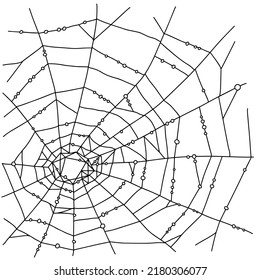 Spider web vector illustration on white background in doodle style