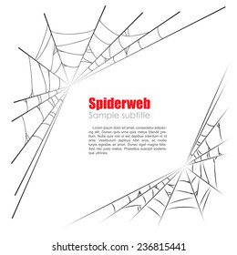 Spider web vector illustration on white background