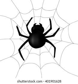 Spider in web. Vector illustration on white background