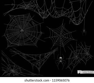 Spider web, vector set of elements