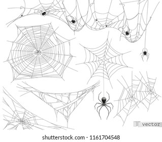 Spider web, vector set of elements