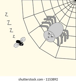 Spider in its web, watching its prey