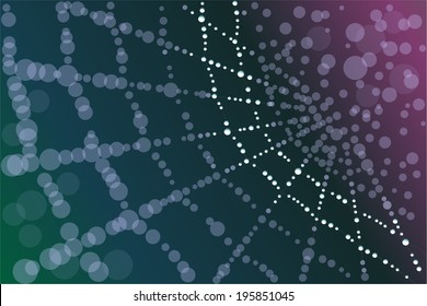 Spider web with water droplets on it 