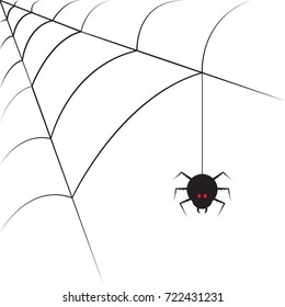 spider in web with white background