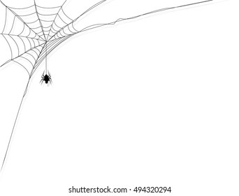 Spider web with white background, vector illustration