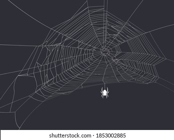 A spider with a web is White, on a dark background. Vector illustration.