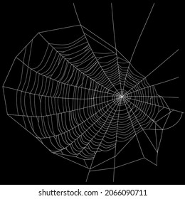 Spider web. White threads. Vector illustration